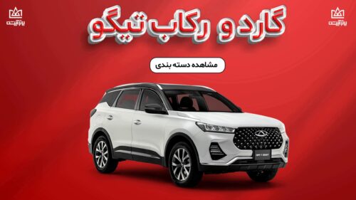 گارد و رکاب تیگو