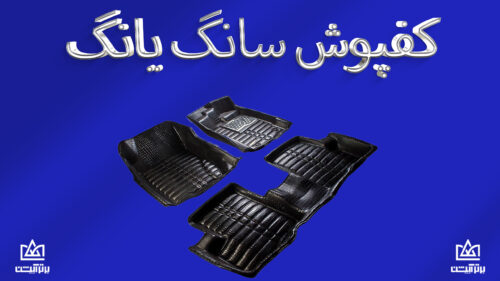 کفپوش سانگ یانگ