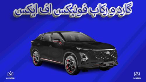 گارد و رکاب فونیکس FX
