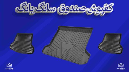 کفی صندوق سانگ یانگ